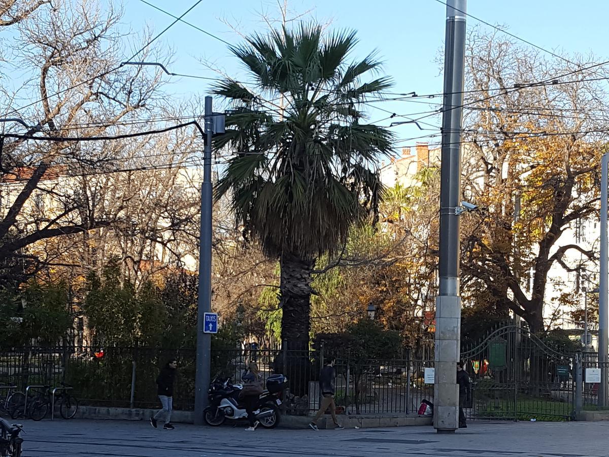 Hotel Saint Roch Montpellier Centre Bagian luar foto