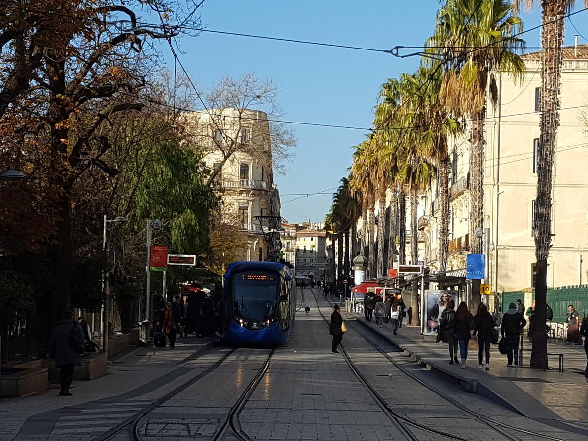 Hotel Saint Roch Montpellier Centre Bagian luar foto